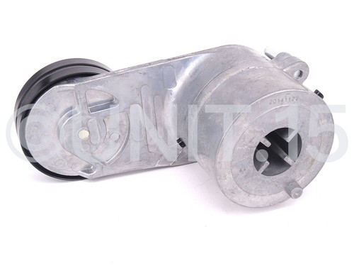 Tensionatore puleggia - tensionatore,